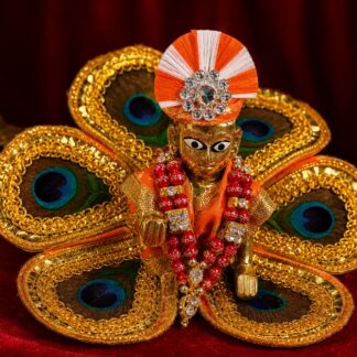 Cute Laddu Gopal Idol